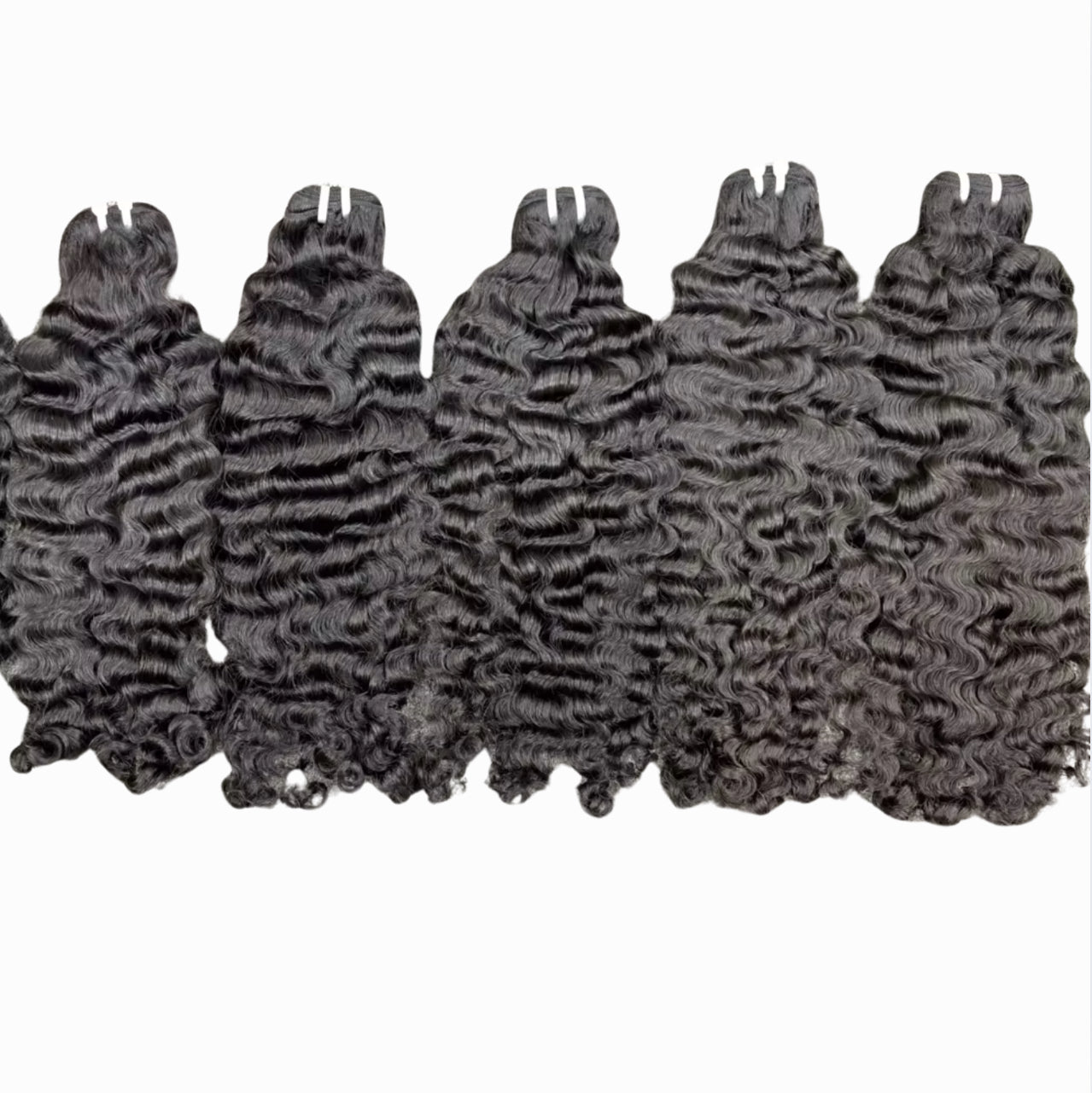 Vietnamese Burmese Curl Bundle Deals